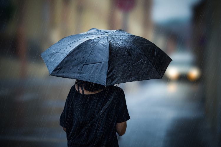 雨の日