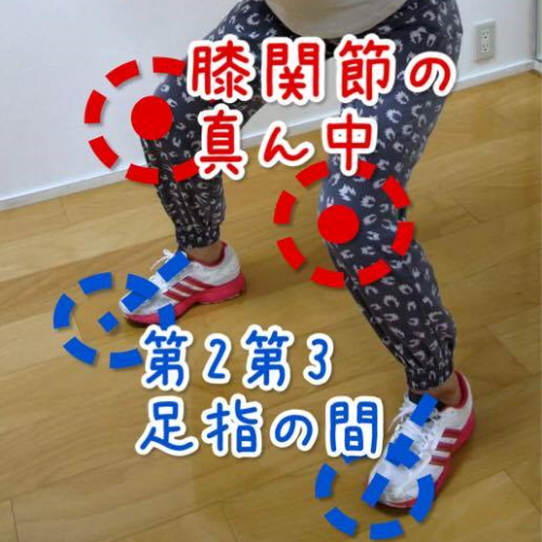 膝の向きの正しい規定