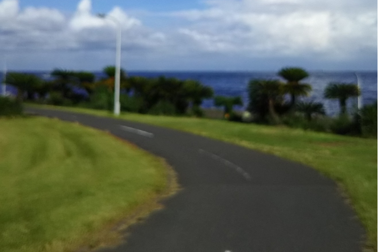 毛細血管は道路と同じ