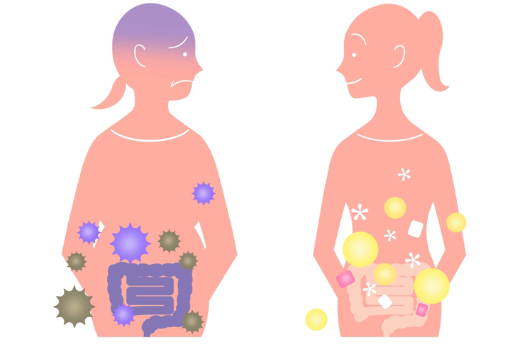 デブ菌って何?腸内環境を整えてらくらくダイエット!
