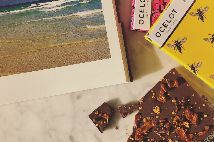 OCELOT CHOCOLAT