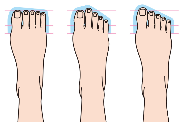 足の指先の形