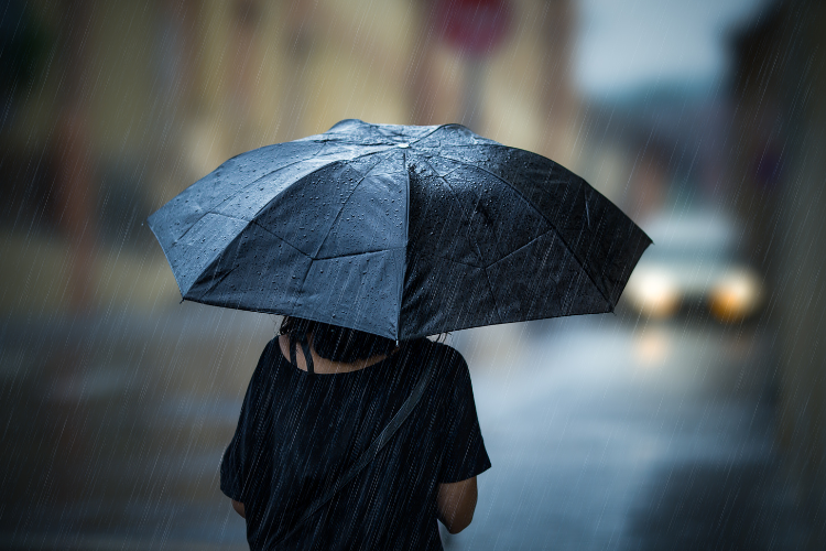 梅雨の時期