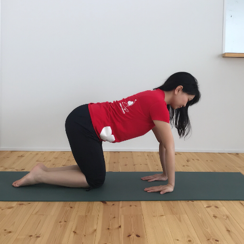 手首のストレッチ