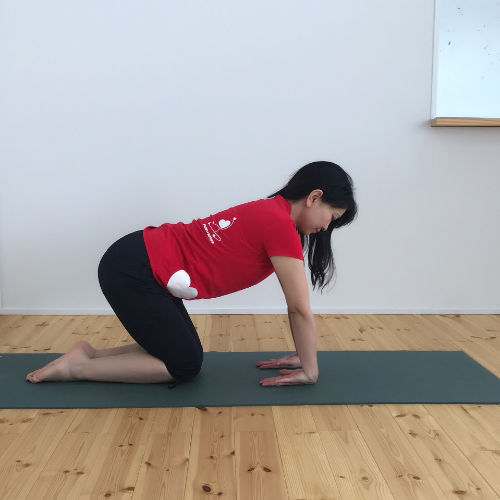 手首のストレッチ