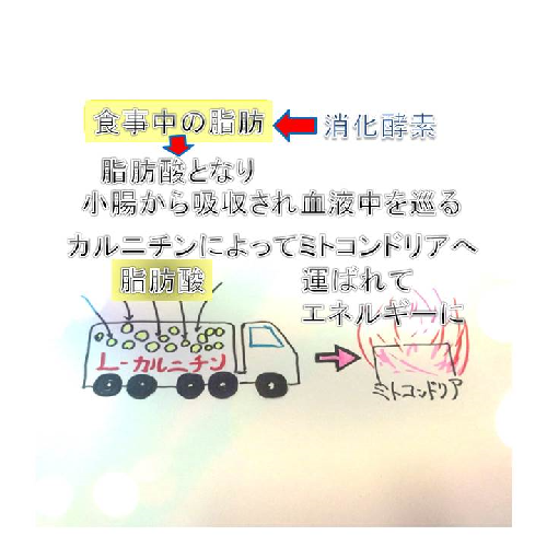 説明
