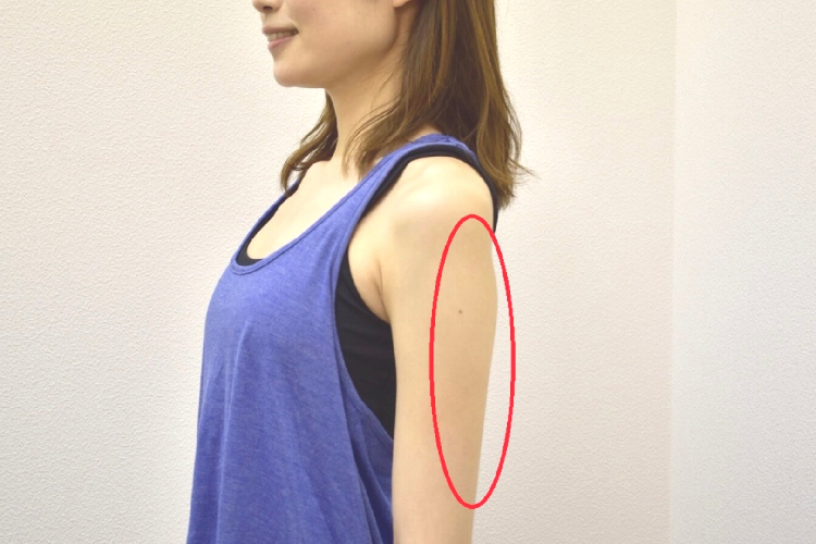二の腕が太いのは筋肉のせい 簡単に引き締める方法を専門家が解説