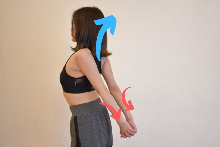 姿勢 良くする ストレッチ
