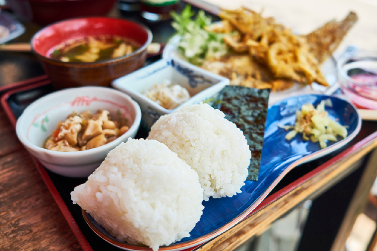 おかずが豊富な和食