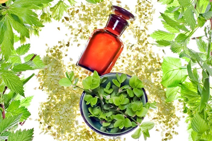 (画像つき)天然のものだけで抗菌できる?からだにやさしい生活を目指そう!