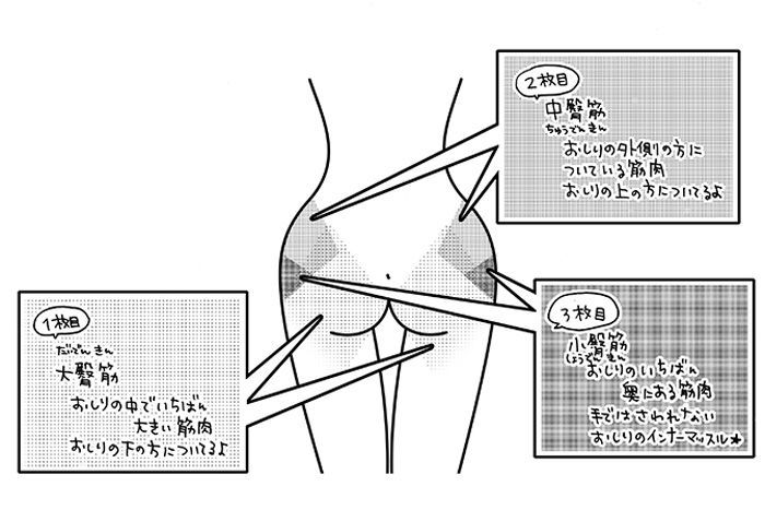 おしりの筋肉のイメージ