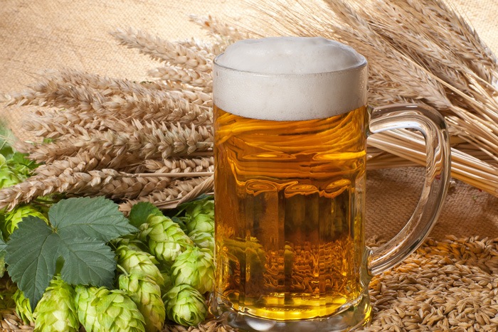 麦芽とホップのビールのイメージ