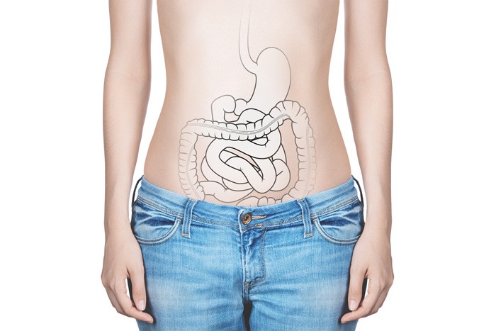 腸のイメージ