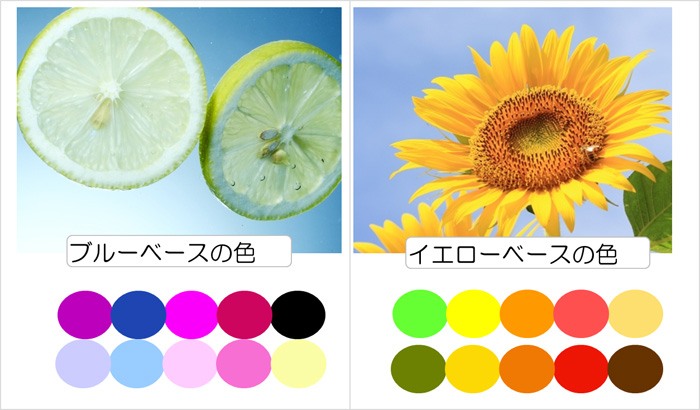 イエローベースとブルーベースの色のイメージ