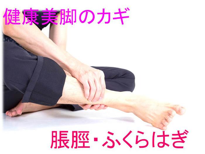ふくらはぎのイメージ