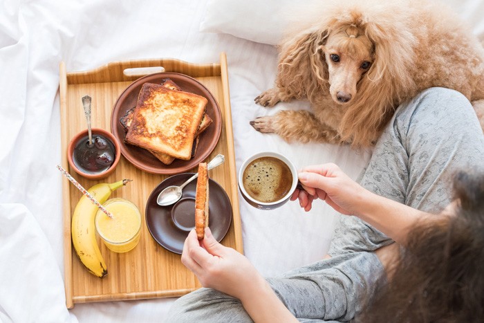 “朝食”どうしてる？賢く活かして健康になる思考法