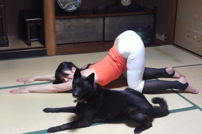 ネコの伸びのポーズ