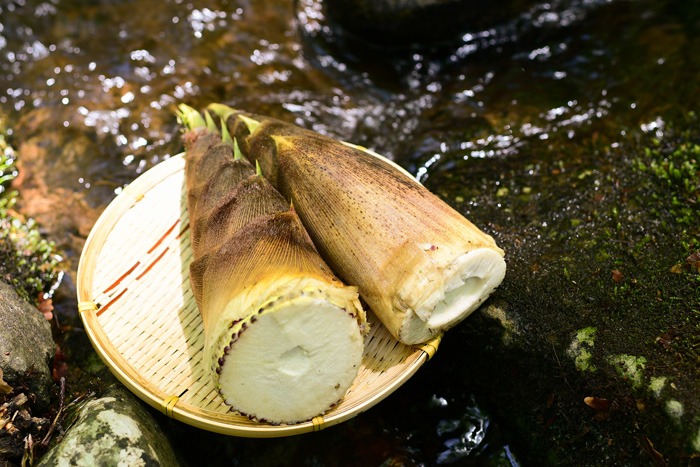 豊富な食物繊維とカリウムでスッキリbodyに！