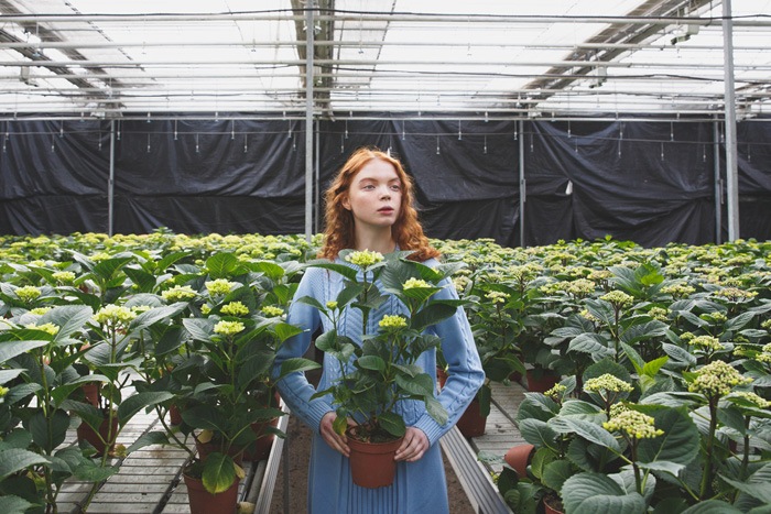 植物園のイメージ