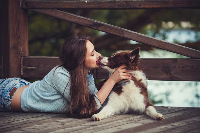 犬のイメージ