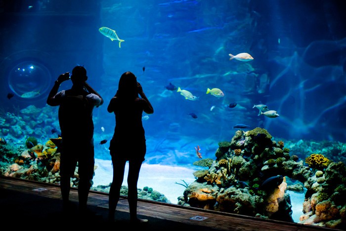 水族館